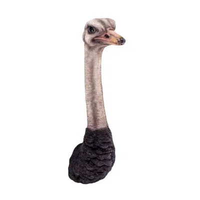 Ostrich Head Wall Art 72cm