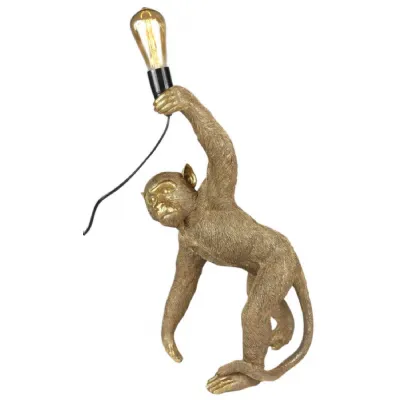 Brown Resin Crouching Monkey Design Table Lamp 60cm