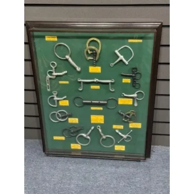 Horsebits In Glass Showcase 83 x 68cm