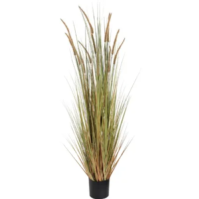Field Grass jn a Black Pot