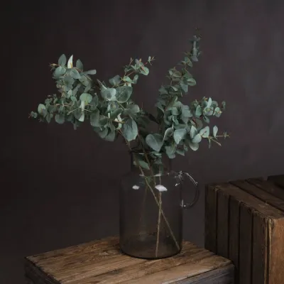 Variegated Eucalyptus