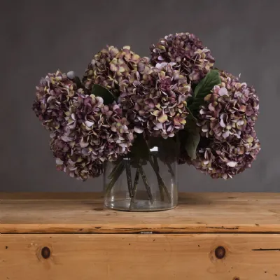Autumn Burgundy Hydrangea