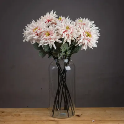 Lush Pink Dahlia