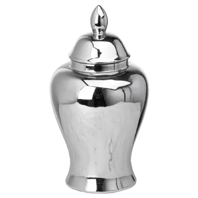Chrome Ginger Jar