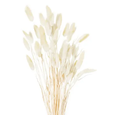 Dried Natural Bunny Tail Bunch Of 40
