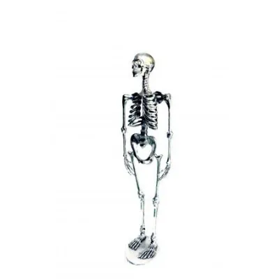 Polished Aluminium Skeleton Sculpture on Stand