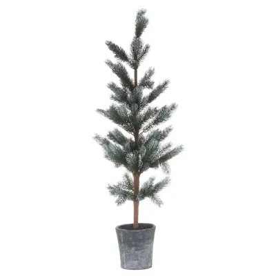 Christmas Fir Tree In Stone Pot