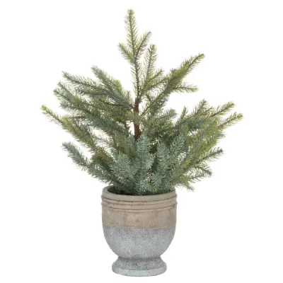 Garda Pine Tree In Stone Pot