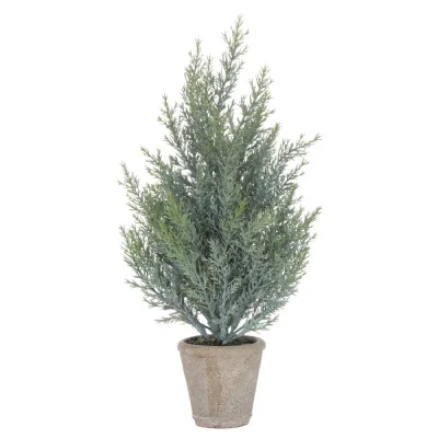 Squat Christmas Fir Tree In Stone Pot