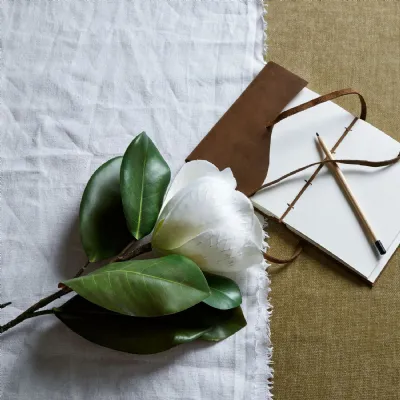 White Magnolia Stem