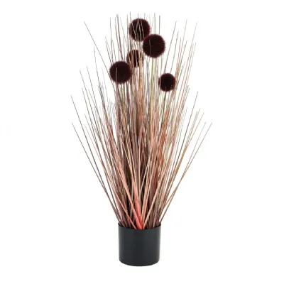 Burgundy Pompom Alliums In Black Pot