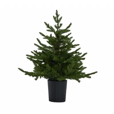 Green Forest Fir PreLit Led 300L Christmas Tree In Pot