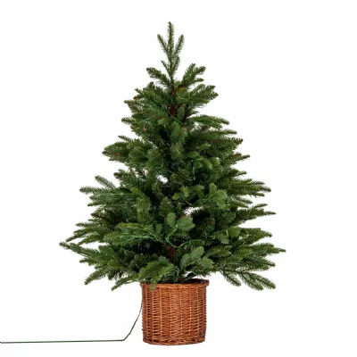 Norway Fir PreLit LLED 300L Fir Tree In Rattan Pot