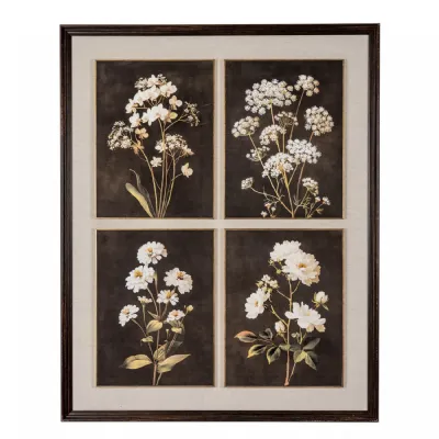 Flora & Fauna Collection Four Botanicals in Classic Frame