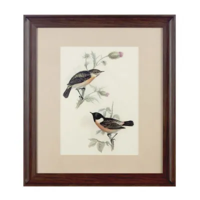 Vintage Framed Birds on a Scottish Thistle Wall Art