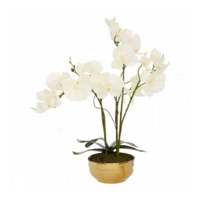 White Faux Orchid In Gold Pot