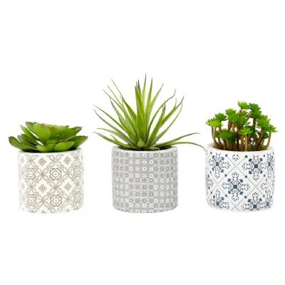 Set Of 3 Succulents In Henna Ceramic Pots