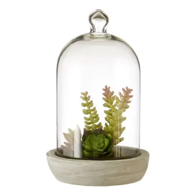 Large Succulent Dome With Pale Grey Cement Base