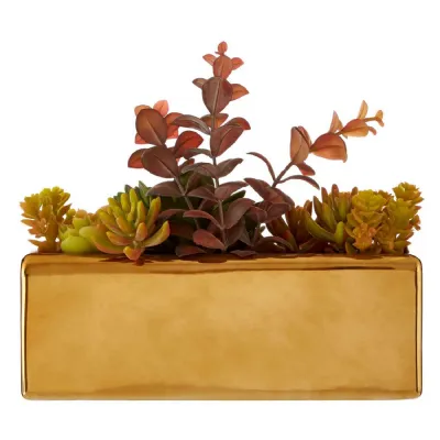 Mixed Succulents in Ceramic Gold Pot