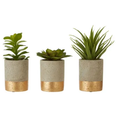 Set of 3 Succulents in Muted Grey Shade with Gold Finish