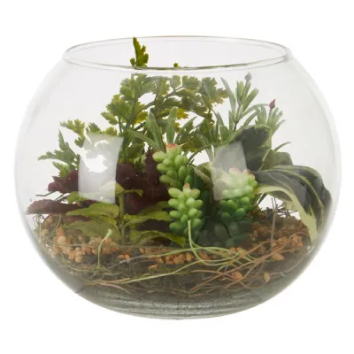 Large Glass Bowl Of Mixed Succulents