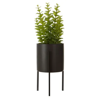 Black Concrete Style Pot On Stand With Faux Thyne