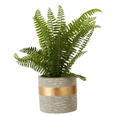 Textured Cement Pot With Gold Band And Fern Plant