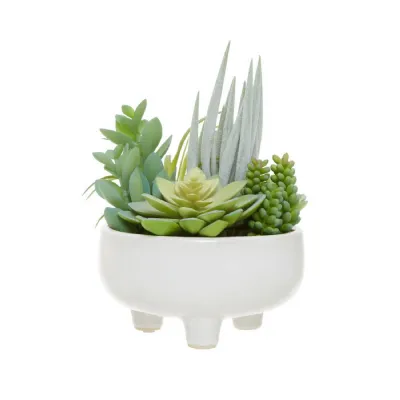 White Ceramic Pot With Faux Mixed Succulents