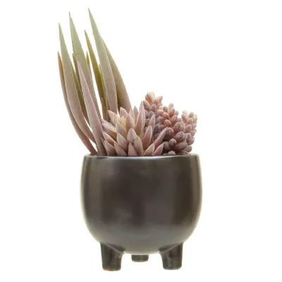 Small Size Grey Ceramic Pot With Mixed Succulents