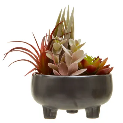 Medium Size Grey Ceramic Pot With Mixed Succulents