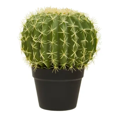 Faux Cactus In Matt Black Pot For A Desert Theme