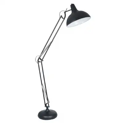 Matt Black Metal Industrial Adjustable Floor Lamp
