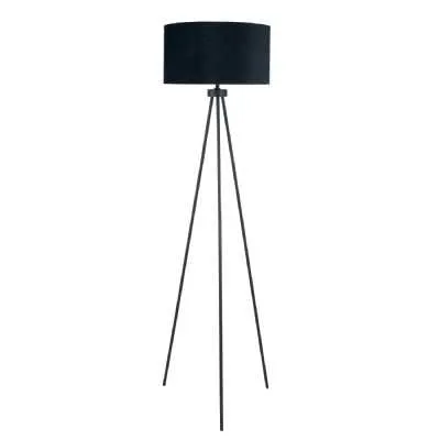 Matt Black Tripod Floor Lamp
