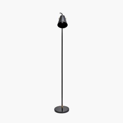 Theia Black and Brushed Brass Task Floor Lamp