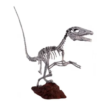 Modern Natural Bone Effect Deinonychus Dinosaur Skeleton Statue 197cm