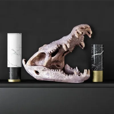 Roman Hard Stone Finish Crocodile Skull 71.5cm