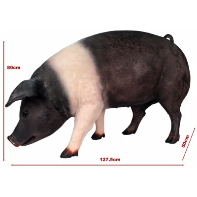 Large Fat Lifesize Saddleback Pig 127.5cm