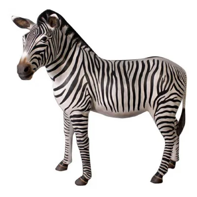 Zebra 160cm
