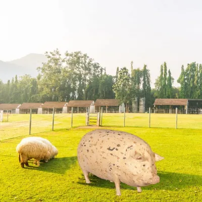 Hand Painted Gloucester Old Spot Outdoor Jumbo Pig 116cm