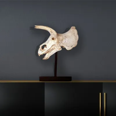 Roman Stone Triceratops Skull Sculpture 59cm