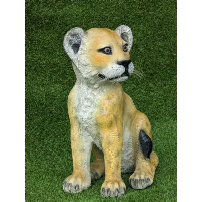 Lion Cub Sitting 55cm