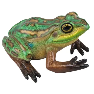 Green and Golden Bell Frog 35cm