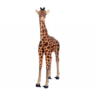 Baby Giraffe 176cm