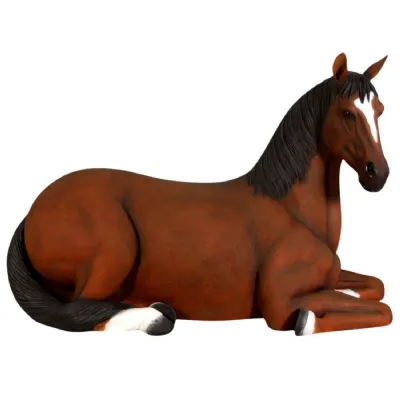 Horse Resting Brown 178cm