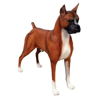Boxer 100cm