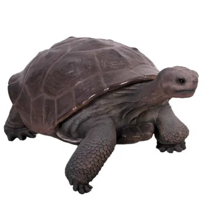 Galapagos Tortoise 154cm