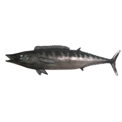 Wahoo 149cm