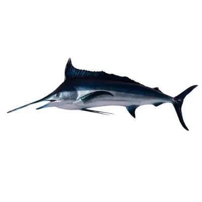 Blue Marlin 172cm