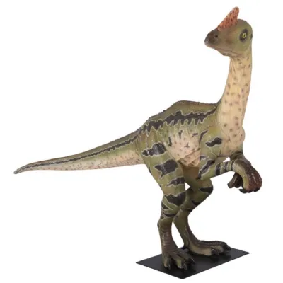 Dilong Paradoxus 201cm