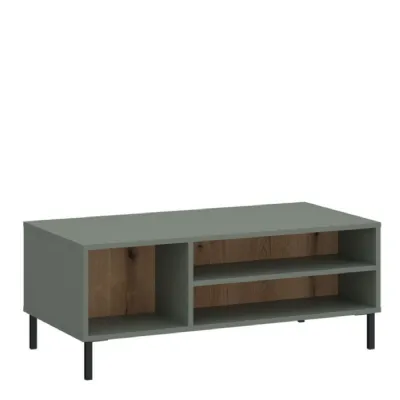 Darwin Coffee Table in Green Oak